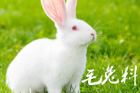 毛兔料