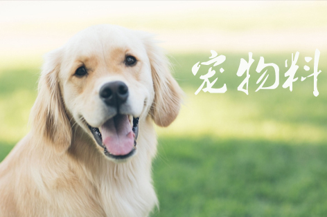 宠物料